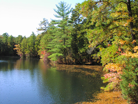 Cedar Run Lake